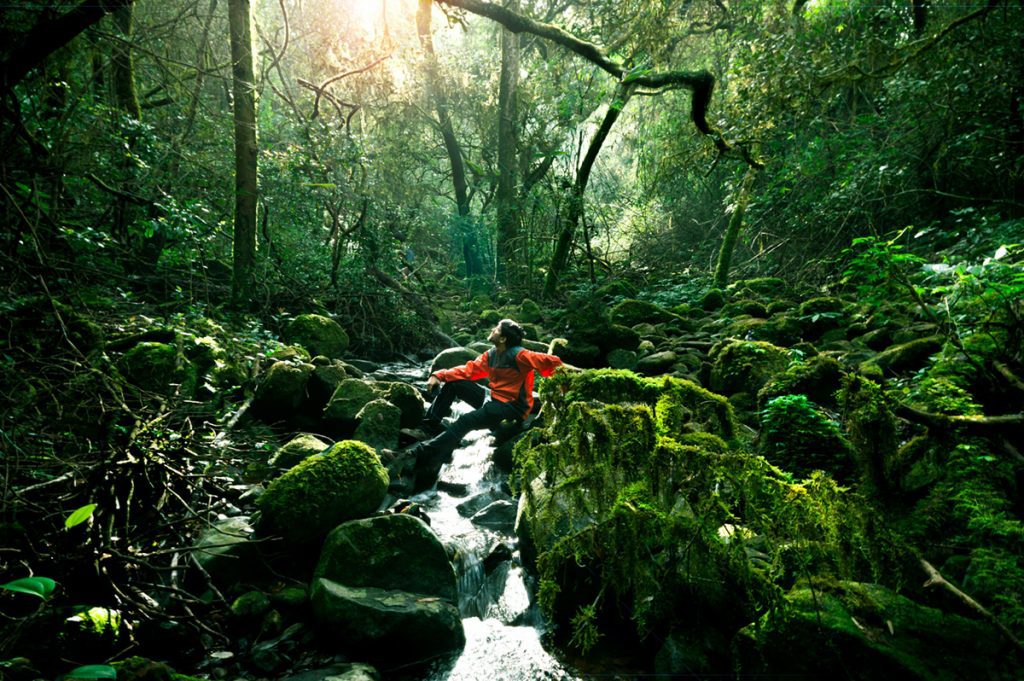 Tips for Shooting in the Rainforest