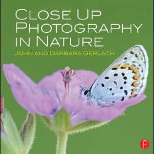 Close Up Photography in Nature - STUDENTFILMMAKERS.COM STORE