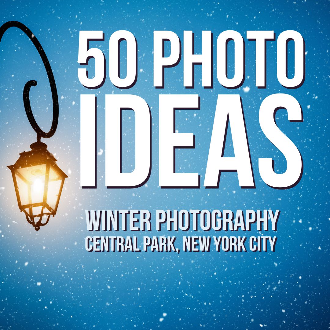50 Photo Ideas - Winter Photography in New York City: 50 Unique Central Park Subjects